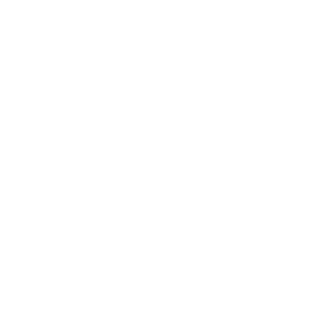 Logo Balle Bleue (blanc)